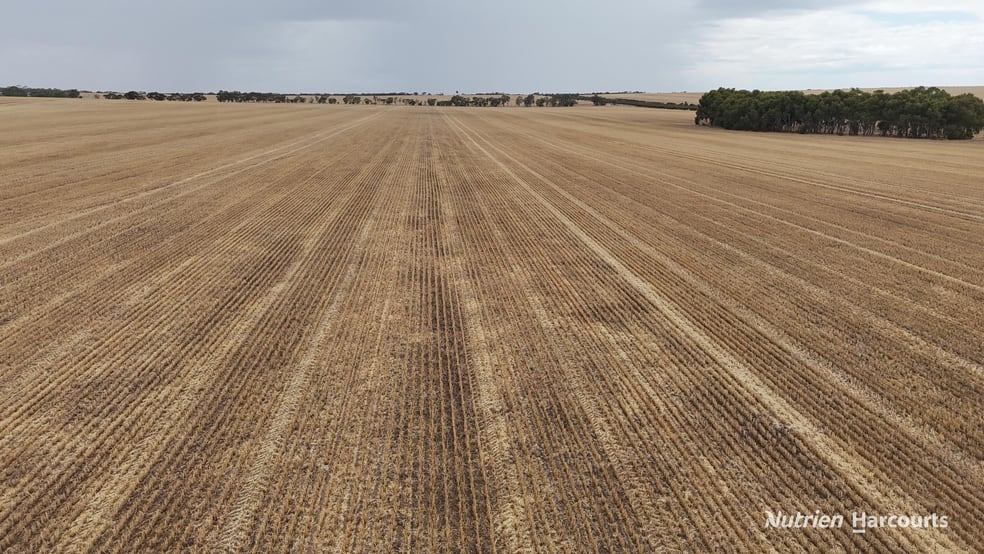 Click to view all images . McCarthy Road Bruce Rock WA 6418 - Image 3