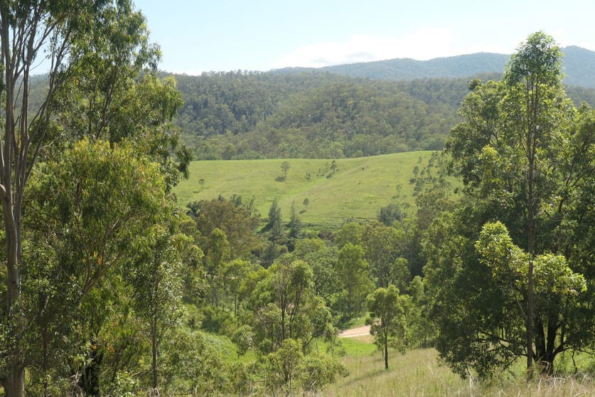 4/ Rocky River Road Rocky River NSW 2372 - Image 1