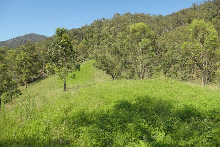 4/ Rocky River Road Rocky River NSW 2372 - Image 2