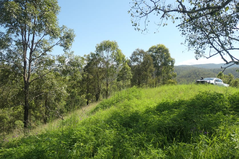 4/ Rocky River Road Rocky River NSW 2372 - Image 3