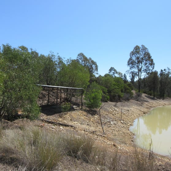 Click to view all images 129 Miegunyah Court Tara QLD 4421 - Image 2