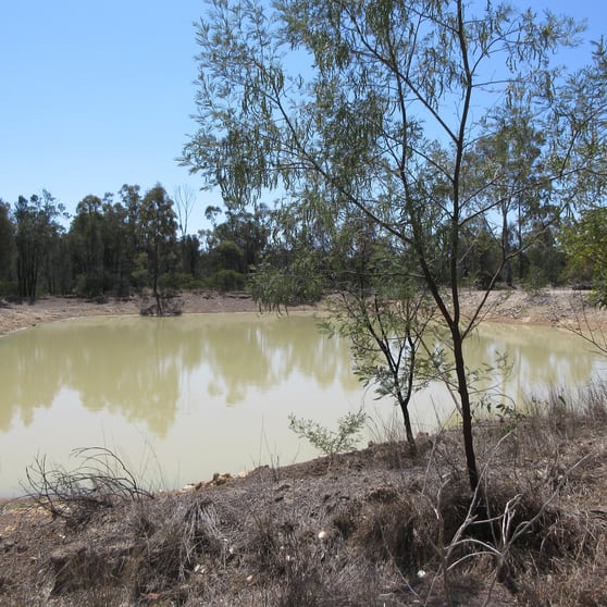 Click to view all images 129 Miegunyah Court Tara QLD 4421 - Image 3