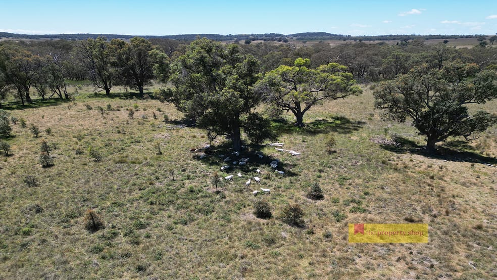 Click to view all images 2/1921 Barneys Reef Road Gulgong NSW 2852 - Image 3
