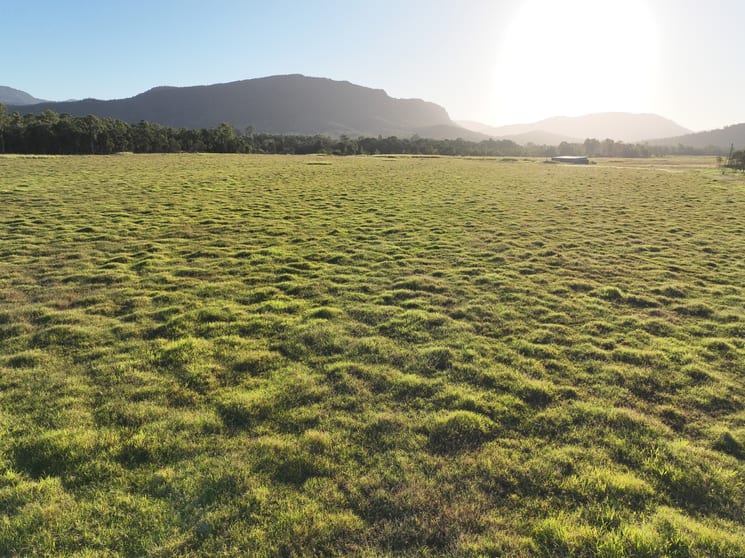 Porters Road Bloomsbury QLD 4799 - Image 1