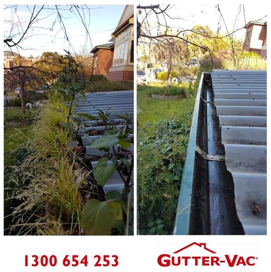 Click to view all images Cleaning Services business for sale in Hobart - Image 3