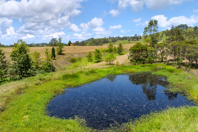 Click to view all images 703 Fosterton Road Dungog NSW 2420 - Image 3