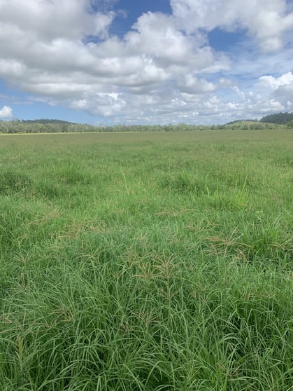 Click to view all images Lot 4 Marwood Sunnyside Road Sunnyside QLD 4737 - Image 2