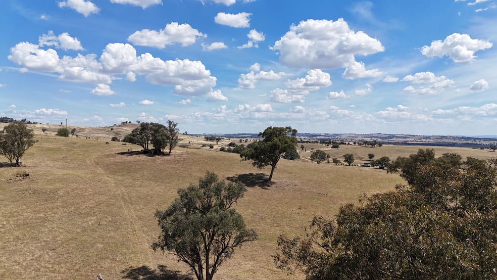 Click to view all images "Karinya" Pride of Oak Road Canowindra NSW 2804 - Image 1