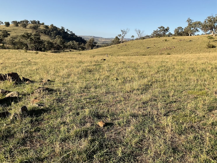 Click to view all images "Karinya" Pride of Oak Road Canowindra NSW 2804 - Image 2