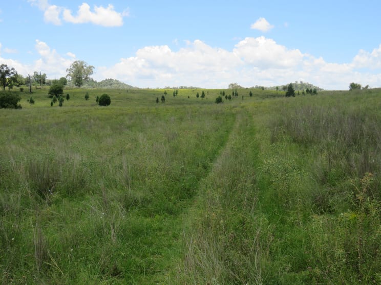 Click to view all images "Burnima" 121 Sheep Station Creek Rd Bingara NSW 2404 - Image 3