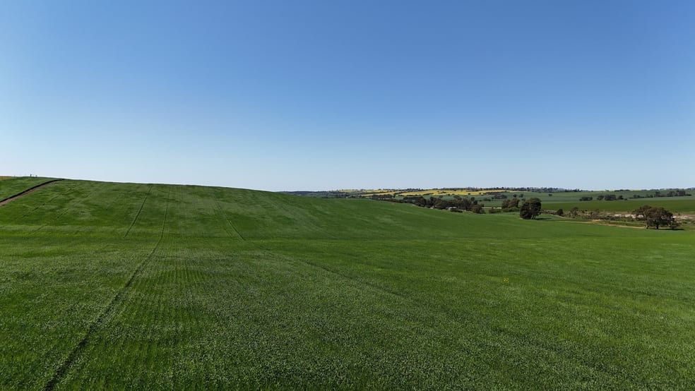 Click to view all images 'Ryans' Archie Road Murray Town SA 5481 - Image 2