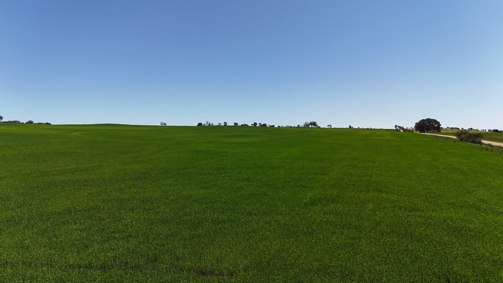 Click to view all images 'Ryans' Archie Road Murray Town SA 5481 - Image 3