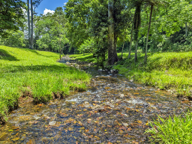 650 Darkwood Road Thora NSW 2454 - Image 3