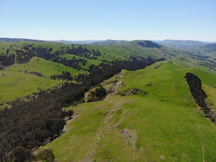 Click to view all images 11/617793 Stewarts Road Batlow NSW 2730 - Image 3