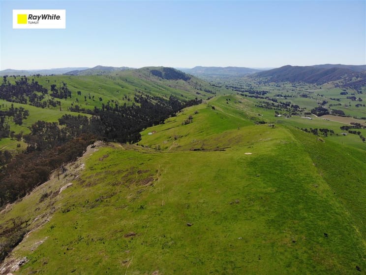 Click to view all images 11/617793 Stewarts Road Batlow NSW 2730 - Image 1