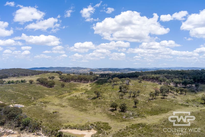 162, 2202 Wellington Vale Road Emmaville NSW 2371 - Image 1