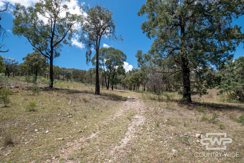 162, 2202 Wellington Vale Road Emmaville NSW 2371 - Image 3