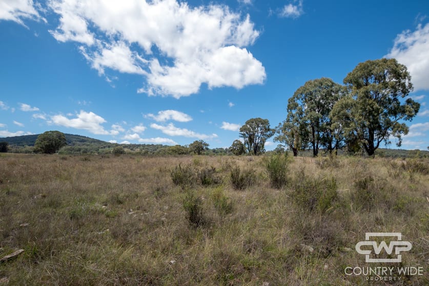 Click to view all images 6, 2202 Wellington Vale Road Emmaville NSW 2371 - Image 2