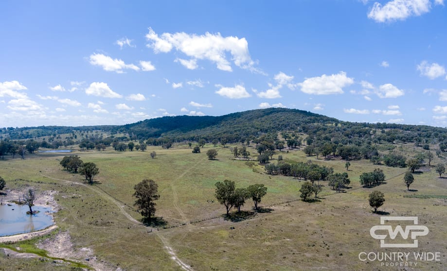 Click to view all images 623 & 624, 2202 Wellington Vale Road Emmaville NSW 2371 - Image 1
