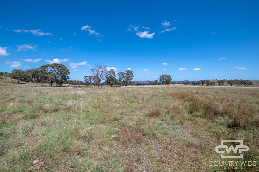 Click to view all images 623 & 624, 2202 Wellington Vale Road Emmaville NSW 2371 - Image 2