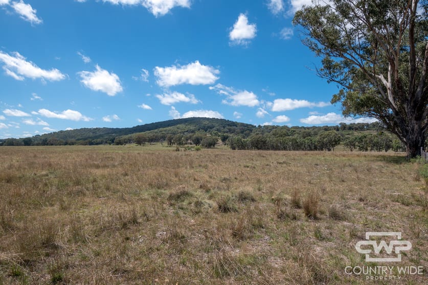 Click to view all images 623 & 624, 2202 Wellington Vale Road Emmaville NSW 2371 - Image 3