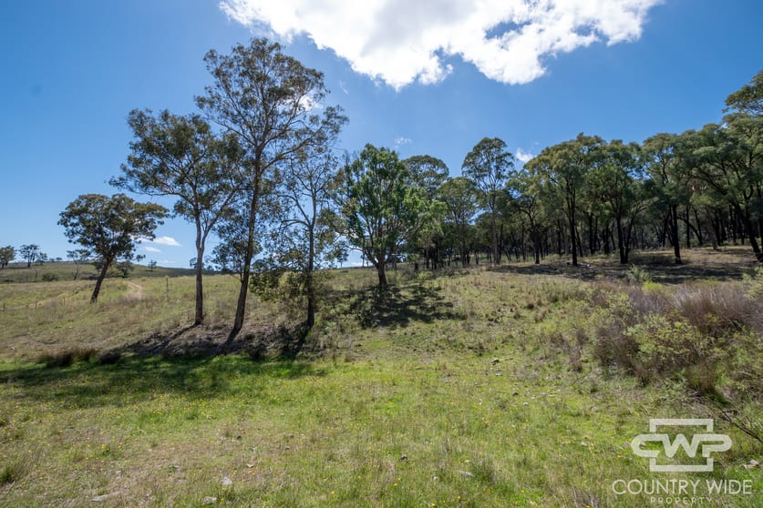 Click to view all images 52, 2202 Wellington Vale Road Emmaville NSW 2371 - Image 2