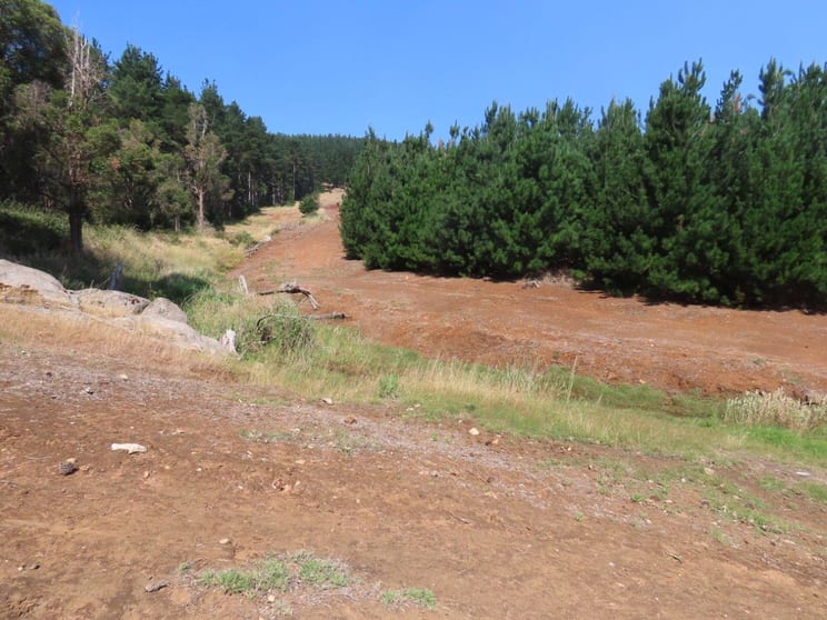 Lot 83 East Nannup Road East Nannup WA 6275 - Image 3