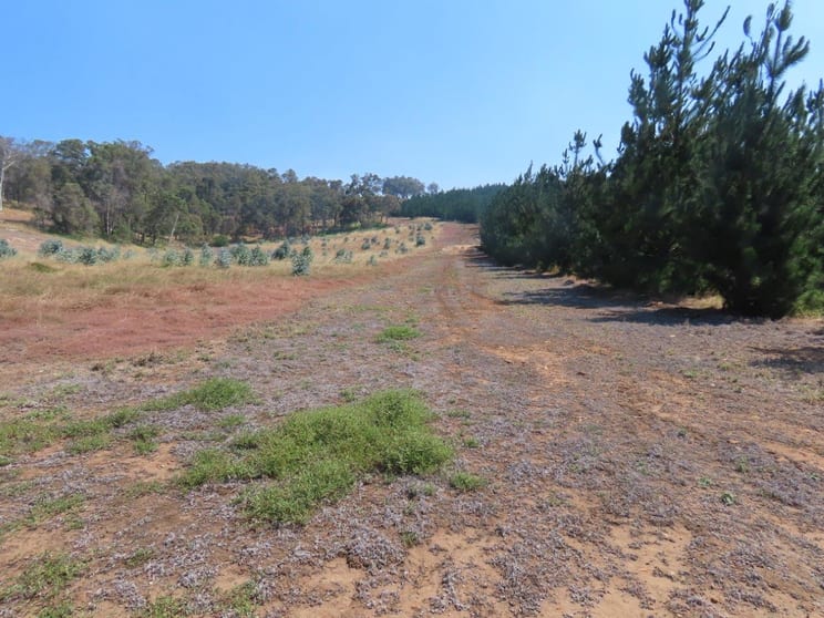Click to view all images 378 East Nannup Road East Nannup WA 6275 - Image 3