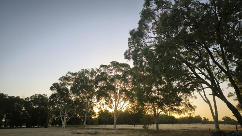 Click to view all images 252 Ellenbrook Road Bullsbrook WA 6084 - Image 1
