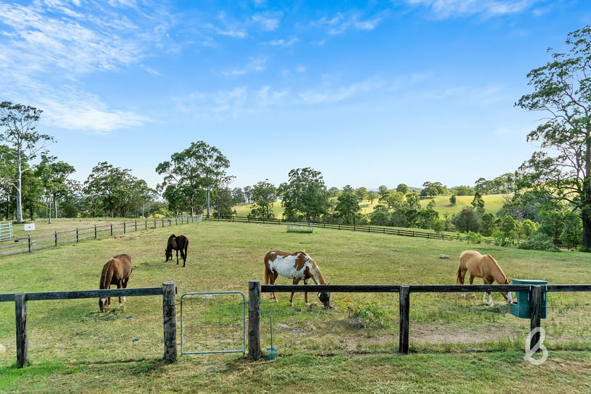 Click to view all images 375 Bimbadeen Road Stanhope NSW 2335 - Image 3