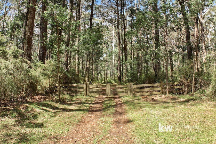 Click to view all images 2190 Tyers-Walhalla Road Jacob Creek VIC 3825 - Image 3
