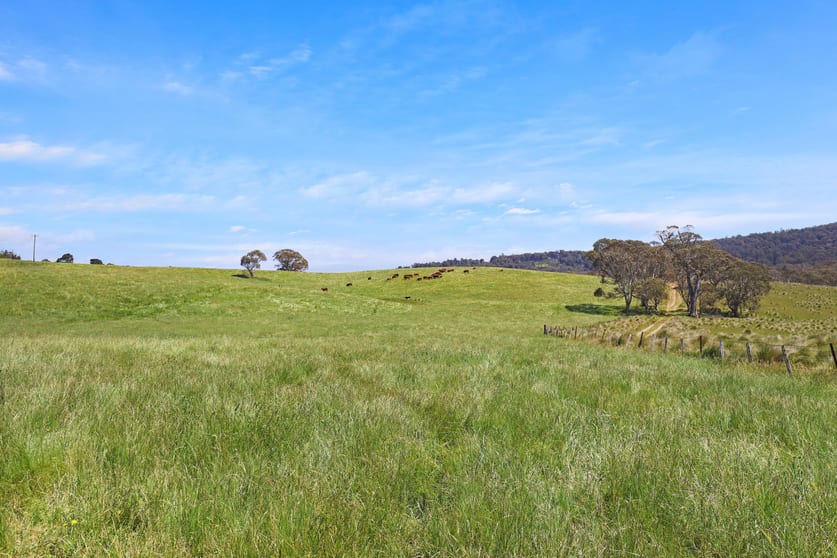 Click to view all images 1026 Lower Bendoc Road Bendoc VIC 3888 - Image 3