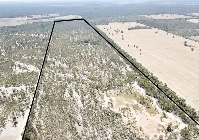 Click to view all images Lot 53 Old Deniliquin Road Moama NSW 2731 - Image 2