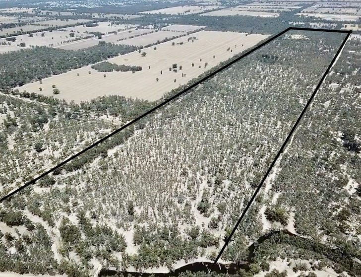 Click to view all images Lot 53 Old Deniliquin Road Moama NSW 2731 - Image 1