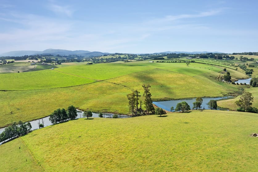 Click to view all images 1061 Neerim East Road Neerim East VIC 3831 - Image 3