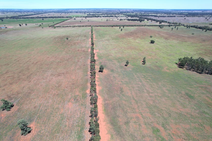 Click to view all images 371 Blue Letterbox Lane Tullamore NSW 2874 - Image 2
