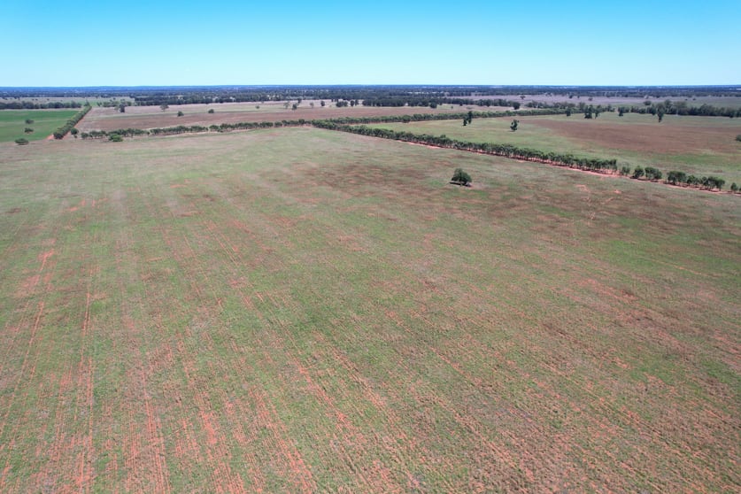 Click to view all images 371 Blue Letterbox Lane Tullamore NSW 2874 - Image 1