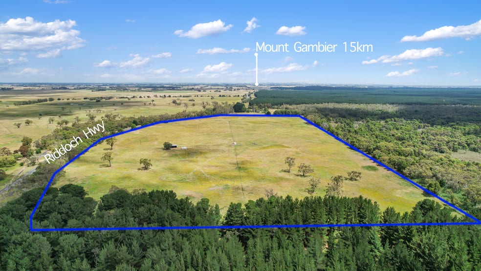 Click to view all images Lot 459 Riddoch Hwy Dismal Swamp SA 5291 - Image 1
