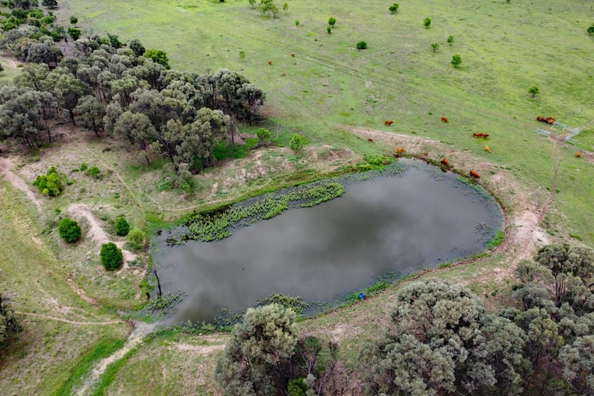 "Dee View" Jamesons Lane Dululu QLD 4702 - Image 2