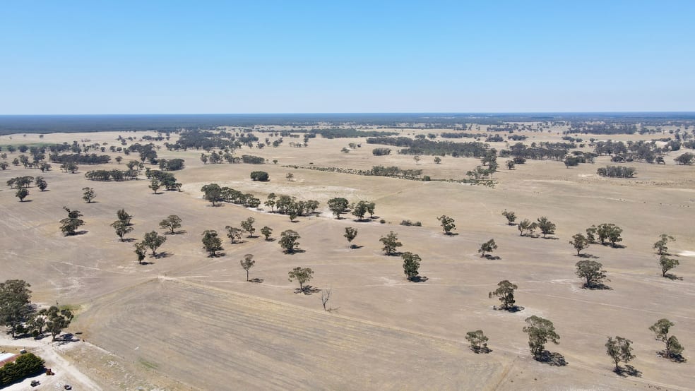 505 Bangham Rd Custon SA 5269 - Image 3