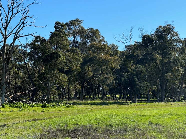 Click to view all images Lot 2339 Cnr Edwards & Doyle Road (Ambergate) Busselton WA 6280 - Image 3