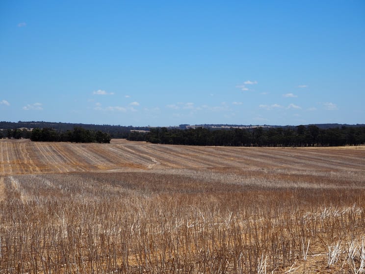 Click to view all images Glenrock Frankland-Cranbrook Road Cranbrook WA 6321 - Image 3