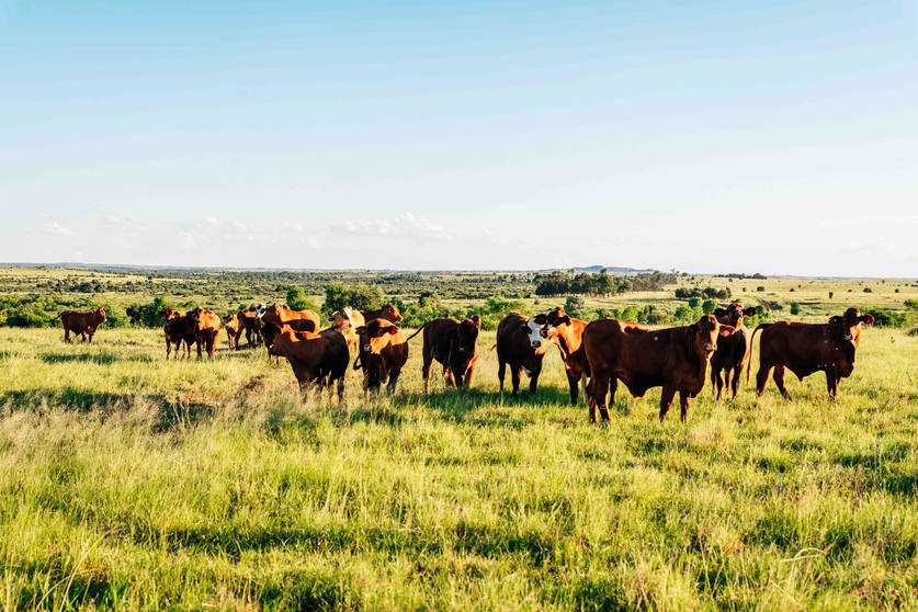 Click to view all images Waikola QLD 4420 - Image 3