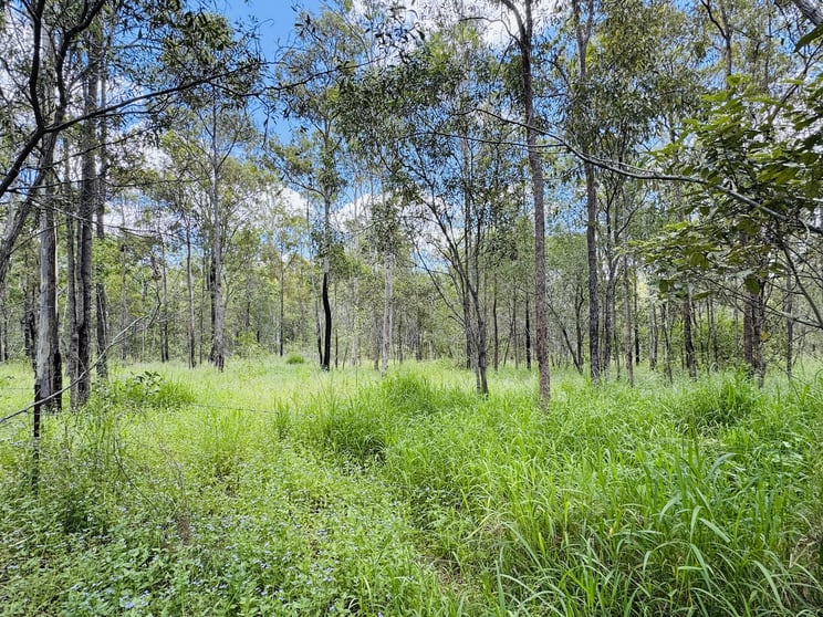 Lot 179 Doongul Stock Route North Aramara QLD 4620 - Image 3