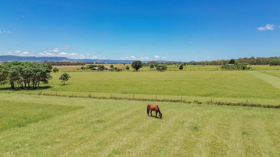 98 Orchard Road Loch Lomond QLD 4370 - Image 3