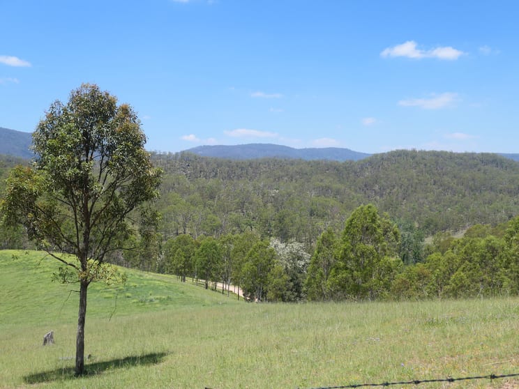 3/2806 Rocky River Road Rocky River NSW 2372 - Image 1