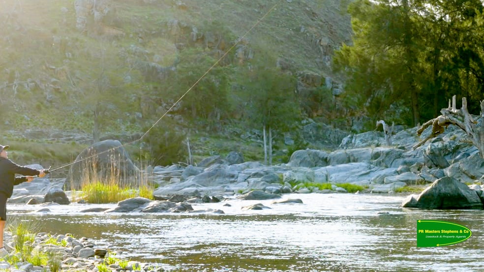 Click to view all images 2663 The Bridle Track Bruinbun NSW 2795 - Image 1