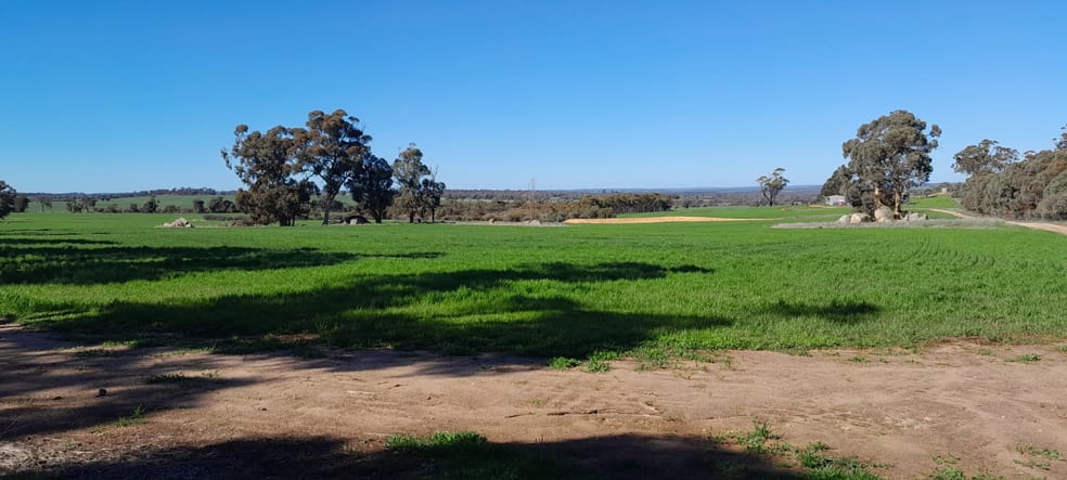 Click to view all images 210 Yenellin Road East Pingelly WA 6308 - Image 1