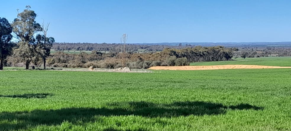 Click to view all images 210 Yenellin Road East Pingelly WA 6308 - Image 2