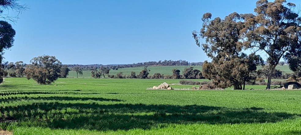 Click to view all images 210 Yenellin Road East Pingelly WA 6308 - Image 3